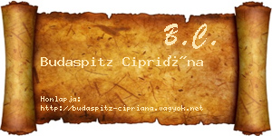 Budaspitz Cipriána névjegykártya